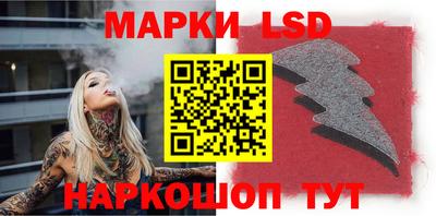 apvp Кимры