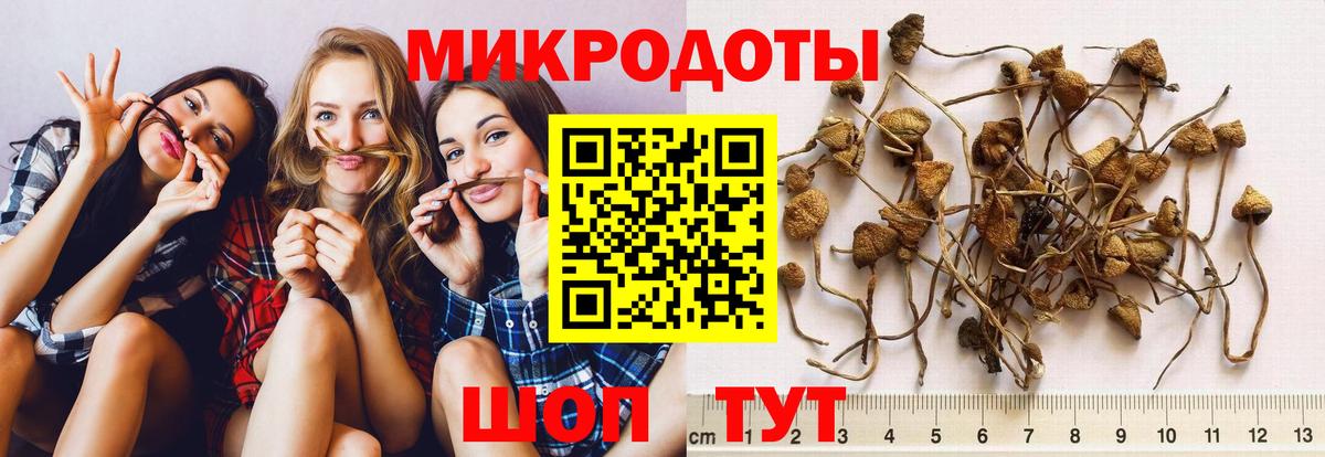 Псилоцибиновые грибы мухоморы  Галлюциногенные грибы мухоморы  Котельники  Вход с VPN 